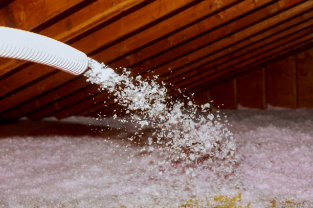 Best Home Insulation Services  in Stonecrest, GA
