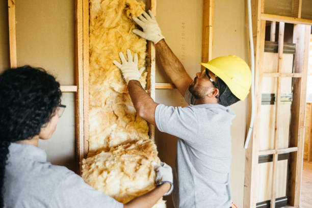 Best Professional Insulation Contractor  in Stonecrest, GA