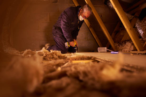 Best Insulation Inspection Services  in Stonecrest, GA